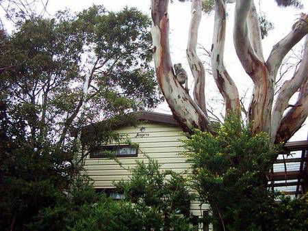 Beach Park Tourist Caravan Park - Your Accommodation 3
