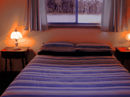 Lake Yalleena Cabins - Your Accommodation