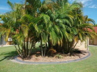 Yamba Motor Inn - Your Accommodation 5