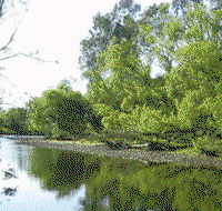 Ribbonwood Cottages - Your Accommodation