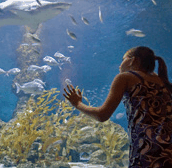 The Aquarium of Western Australia - Your Accommodation