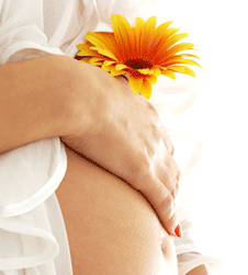 Glow Retreat - Your Accommodation 1