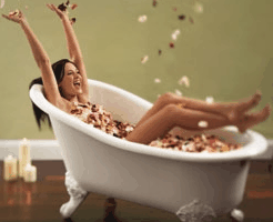 Toowong Village - Your Accommodation