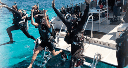 Snorkel Safari Brisbane - Your Accommodation