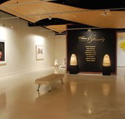 Counihan Gallery In Brunswick - Your Accommodation