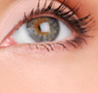 Cinnamon Stix Hair  Day Spa - Your Accommodation