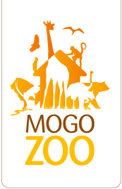 Mogo NSW Your Accommodation