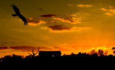 Werribee Open Range Zoo - Your Accommodation 1