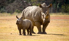 Werribee Open Range Zoo - Your Accommodation 3