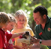 Cleland Wildlife Park - Your Accommodation