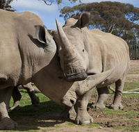 Monarto Zoo - Your Accommodation