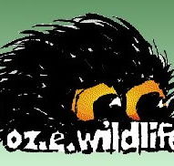 OZe Wildlife - Your Accommodation