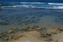 Canberra Contemporary Art Space - Your Accommodation