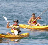 Manly Kayaks - Your Accommodation