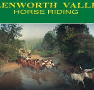 Glenworth Valley Horseriding - Your Accommodation