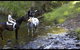 Glenworth Valley Horseriding - thumb 1