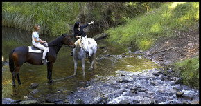 Glenworth Valley Horseriding - Your Accommodation 1