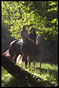 Glenworth Valley Horseriding - Your Accommodation 2