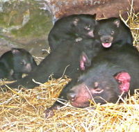 East Coast Natureworld - Your Accommodation