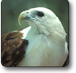 Kakadu National Park - Your Accommodation