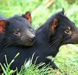 Great Oak Holdings Pty Ltd - Your Accommodation