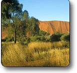 Uluru - Kata Tjuta National Park - Your Accommodation