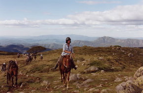 High Country Horses - Your Accommodation 0