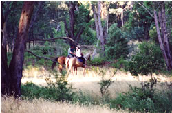 High Country Horses - Your Accommodation 1
