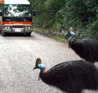 Kookaburra Tours - Your Accommodation