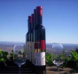 Mount Tamborine Winery  Homestead - Your Accommodation