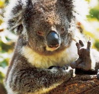 Gorge Wildlife Park - Your Accommodation