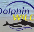 Dolphin Wild - Your Accommodation