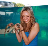 Crocosaurus Cove - Your Accommodation