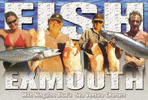 Ningaloo Blue Dive - Your Accommodation 2