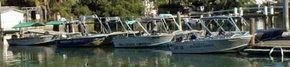 Brooklyn Central Boat Hire & General Store - Your Accommodation 1