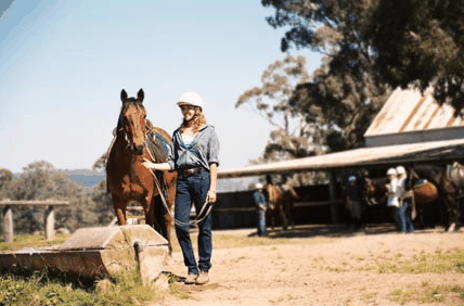 Watsons Trail Rides - Your Accommodation