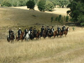 McCormacks Mountain Valley Trail Rides - Your Accommodation