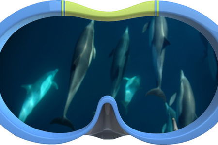 Dolphin Swim Australia - Your Accommodation 3