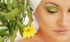 Indica Spa - Your Accommodation 1