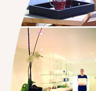 Lyall Hotel and Spa - Your Accommodation