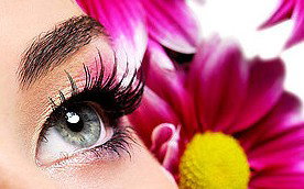 Glow Retreat - Your Accommodation 5