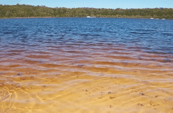 Beach Trekkers North Stradbroke Island - Your Accommodation 1