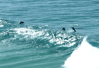 Beach Trekkers North Stradbroke Island - Your Accommodation 2