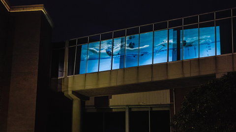 Kingston Arts - Your Accommodation 8