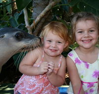 Dolphin Marine Magic - Your Accommodation