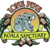 Lone Pine Koala Sanctuary - Your Accommodation