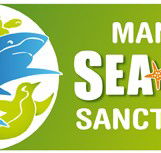 Manly SEA LIFE Sanctuary - Your Accommodation