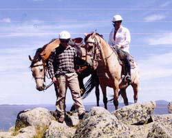 High Country Horses - Your Accommodation 3
