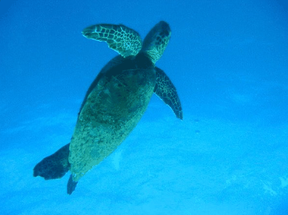 Big Cat Reality - Your Accommodation