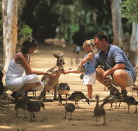 Billabong Sanctuary - Your Accommodation